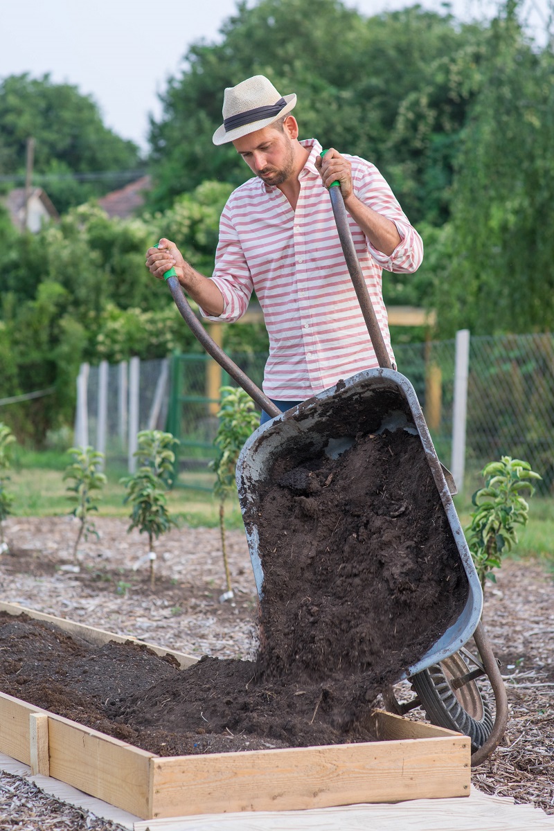 Őri Barnabás biokertészete