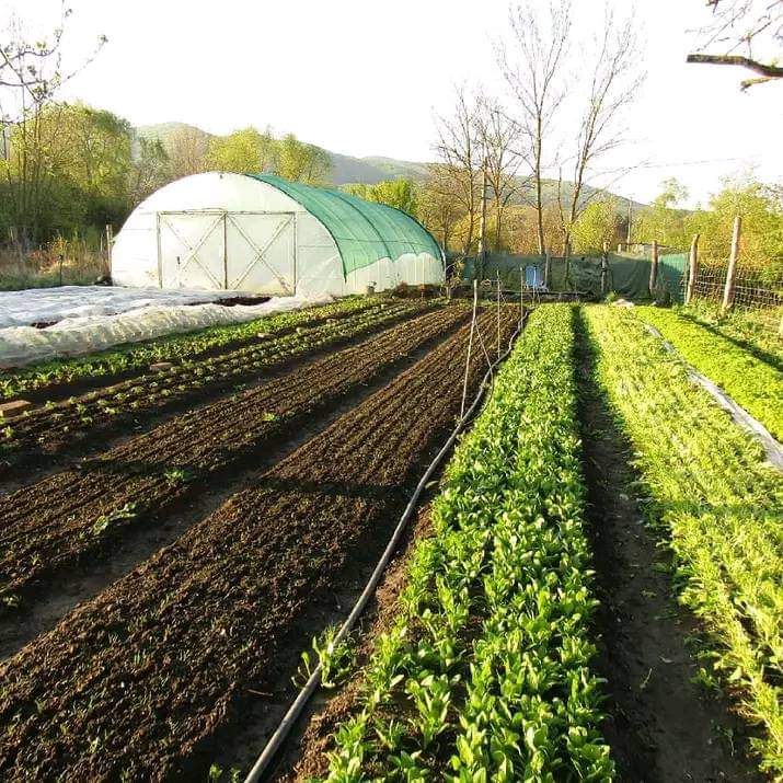 Perőcsényi biokerteszet