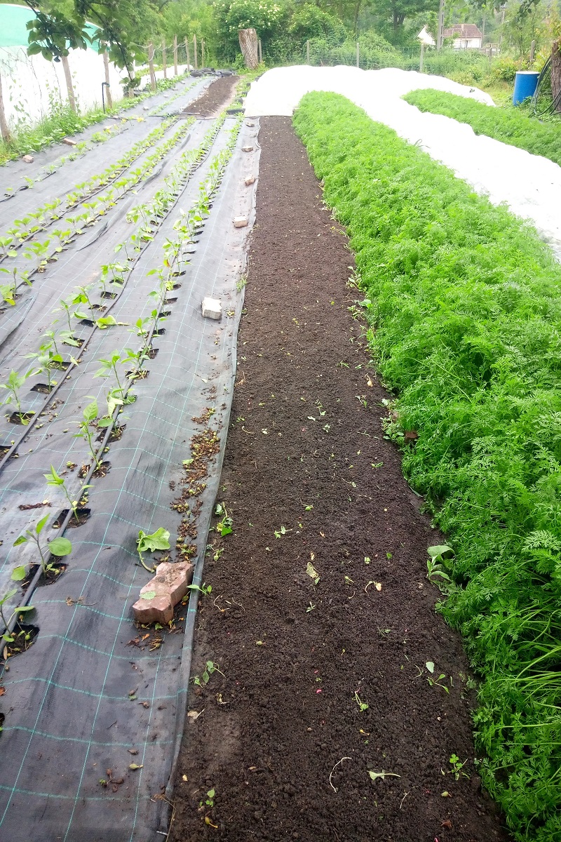 Perőcsényi biokertészet