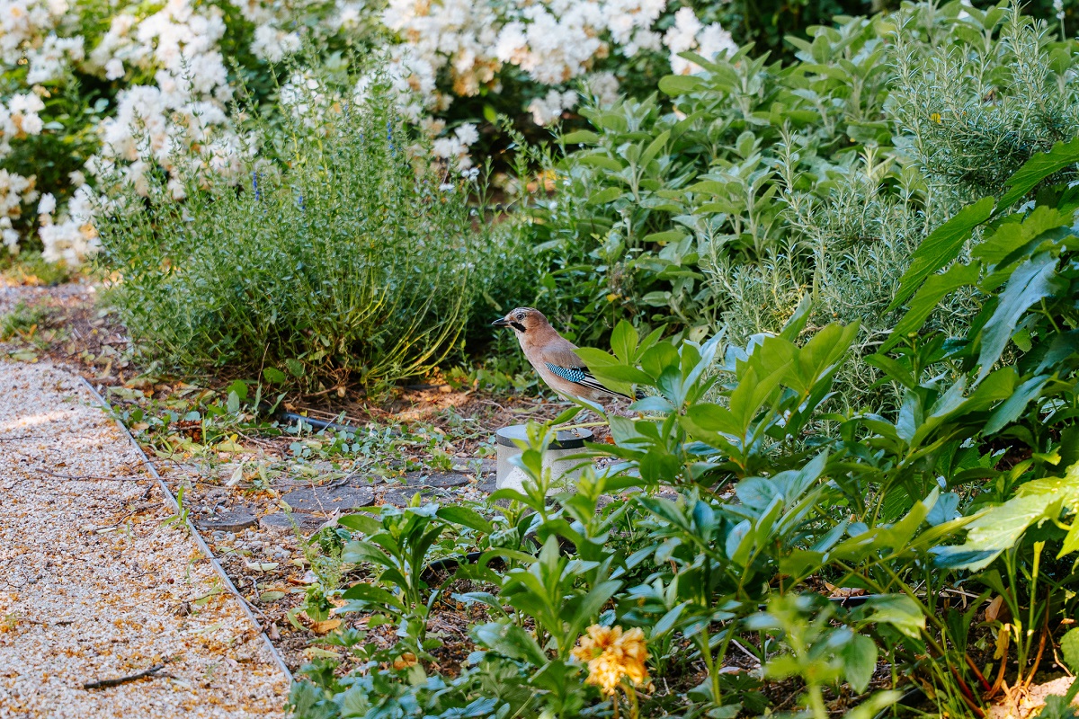 Budapest-12.-kerulet-Budakeszi-ut-2